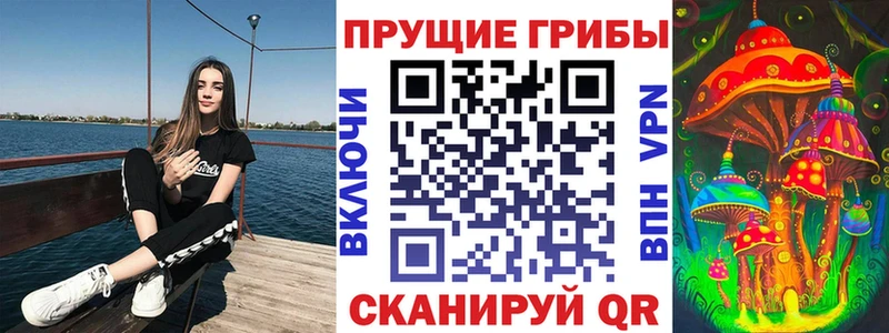 kraken ССЫЛКА  что такое   Туринск  Галлюциногенные грибы ЛСД 